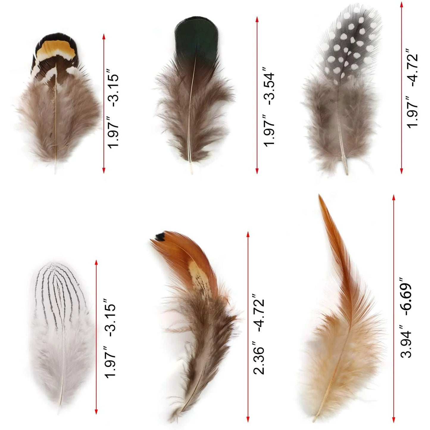 180PCS Assorted Feathers, 6 Styles Natural Chicken Feathers for DIY Crafts Earring Wings Dream Catcher Carnival Party Decoration