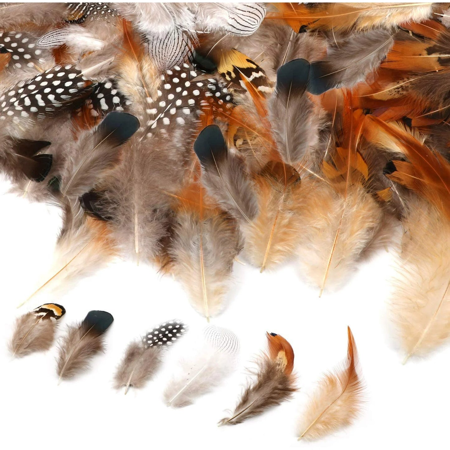 180PCS Assorted Feathers, 6 Styles Natural Chicken Feathers for DIY Crafts Earring Wings Dream Catcher Carnival Party Decoration