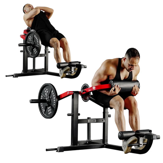 Syedee Seated AB Curl/ Back Extension Machine, Plate Loaded Machine with 450lbs Weight Capacity, Home Gym for Core and Back Training