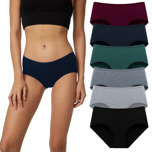 HUG YOURSELF Women's Cotton Underwear Soft Hipster Stretch Breathable Panties for Women,6 Pack(L,Vintage)