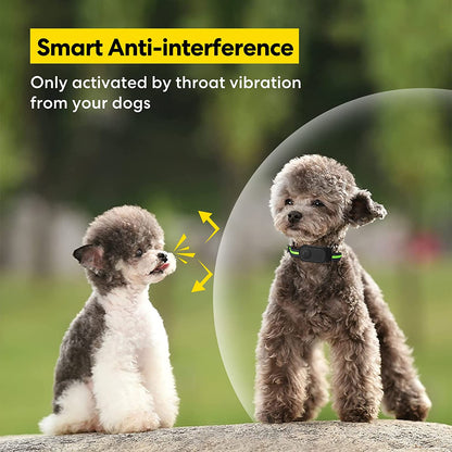 Dog Bark Collar, Bark Shock Collar with Beep Vibration Shock, Bark Collar for Large Medium Small Dogs, Rechargeable Humane Anti Barking Training Collar with 5 Adjustable Sensitivity