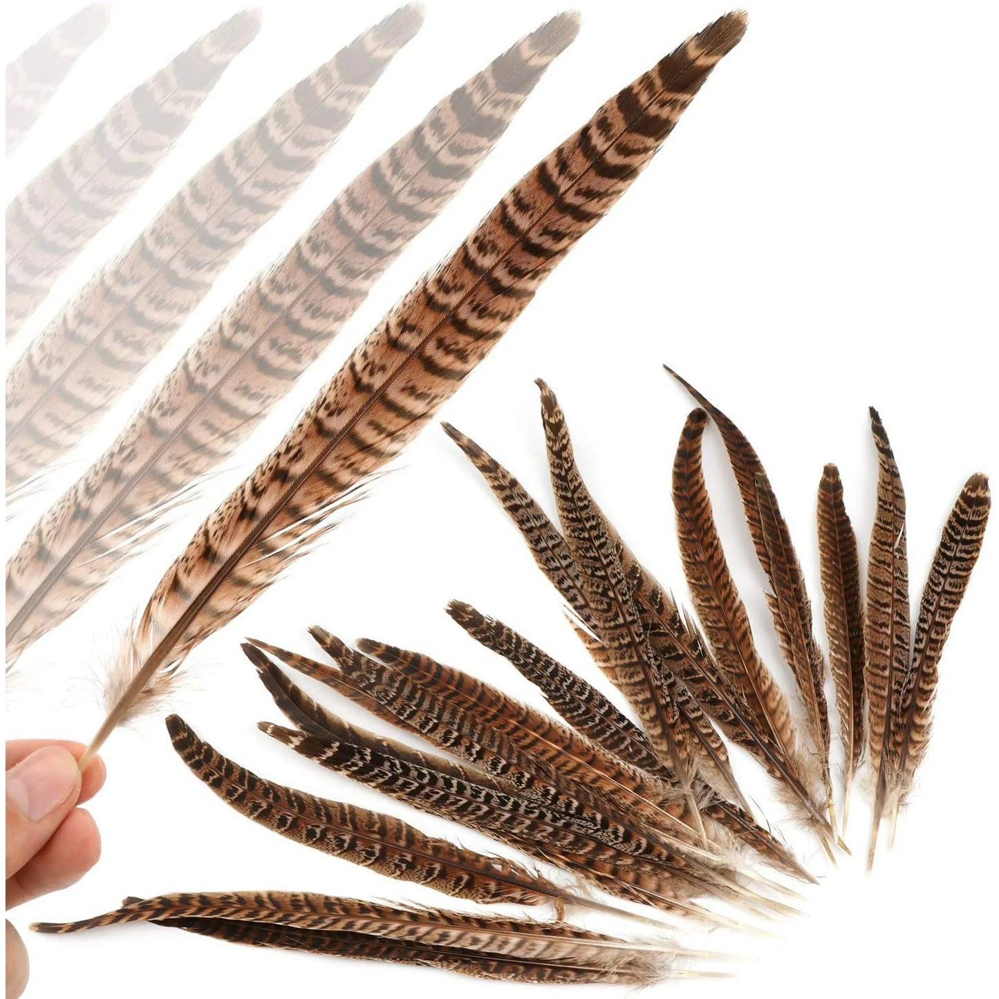 20PCS Pheasant Tail Feather for DIY Crafts Home Holiday Party Decorations, 10-12 inch Natural Feather