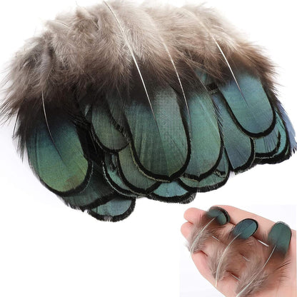 200PCS Assorted Feathers, 4 Styles Chicken Feathers for DIY Crafts Dream Catcher Carnival Costume Party Mask Decoration