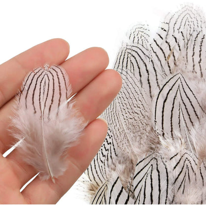 180PCS Assorted Feathers, 6 Styles Natural Chicken Feathers for DIY Crafts Earring Wings Dream Catcher Carnival Party Decoration