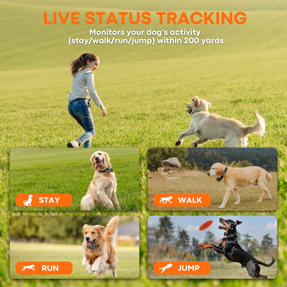4-in-1 Wireless Dog Fence System Electric Dog Fence with Training Collar & Anti-Bark Collar | Real-Time Pet Status Display | Portable Waterproof Outdoor Pet Containment System