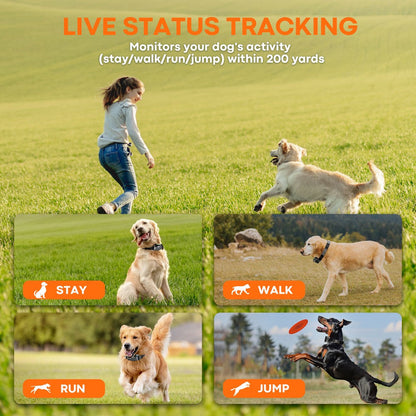 4-in-1 Wireless Dog Fence System Electric Dog Fence with Training Collar & Anti-Bark Collar | Real-Time Pet Status Display | Portable Waterproof Outdoor Pet Containment System