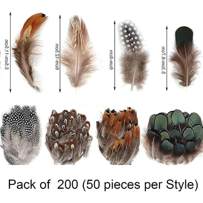 200PCS Assorted Feathers, 4 Styles Chicken Feathers for DIY Crafts Dream Catcher Carnival Costume Party Mask Decoration