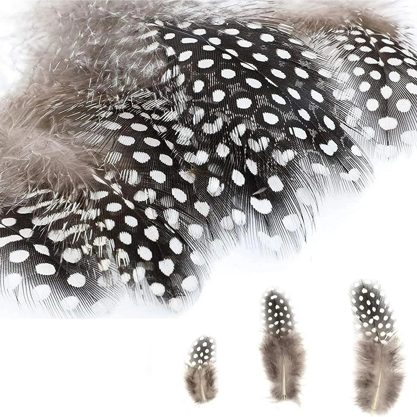 200PCS Assorted Feathers, 4 Styles Chicken Feathers for DIY Crafts Dream Catcher Carnival Costume Party Mask Decoration