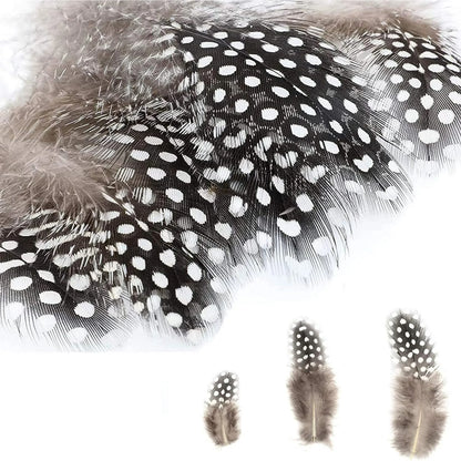 200PCS Assorted Feathers, 4 Styles Chicken Feathers for DIY Crafts Dream Catcher Carnival Costume Party Mask Decoration