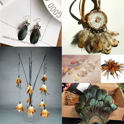 180PCS Assorted Feathers, 6 Styles Natural Chicken Feathers for DIY Crafts Earring Wings Dream Catcher Carnival Party Decoration